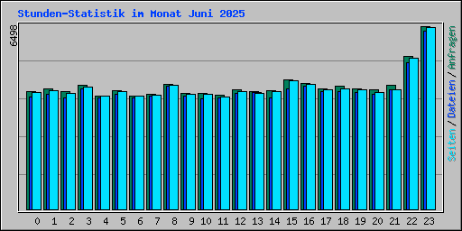 Stunden-Statistik im Monat Juni 2025