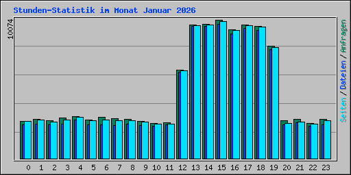 Stunden-Statistik im Monat Januar 2026