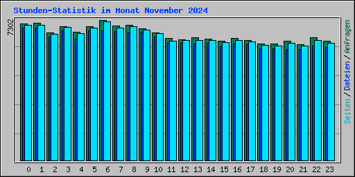 Stunden-Statistik im Monat November 2024