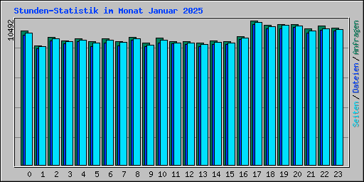 Stunden-Statistik im Monat Januar 2025