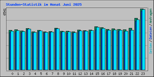 Stunden-Statistik im Monat Juni 2025