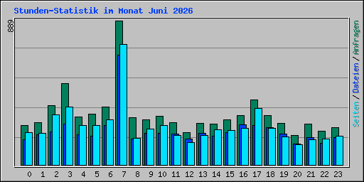 Stunden-Statistik im Monat Juni 2026